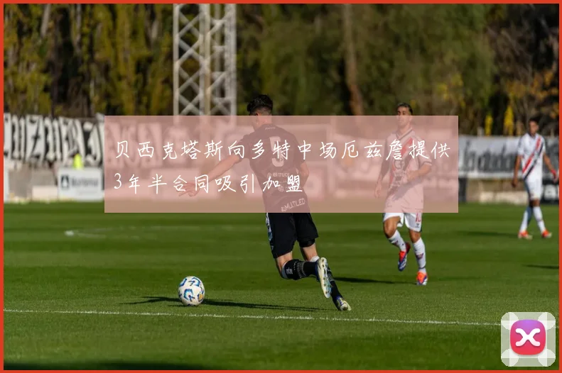 贝西克塔斯向多特中场厄兹詹提供3年半合同吸引加盟