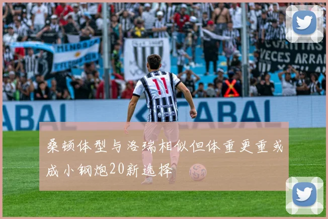 桑顿体型与洛瑞相似但体重更重或成小钢炮20新选择