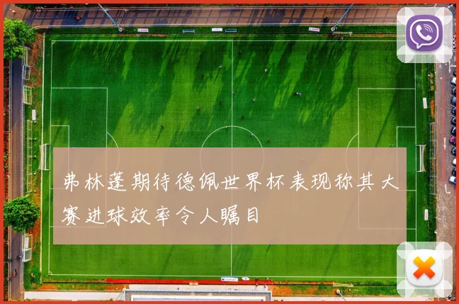 弗林蓬期待德佩世界杯表现称其大赛进球效率令人瞩目