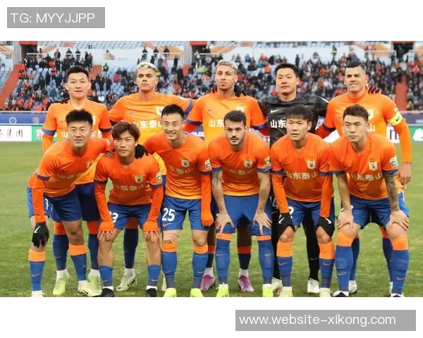 2025年中国足协青少年足球锦标赛男子16强球队团结一心共创辉煌时刻